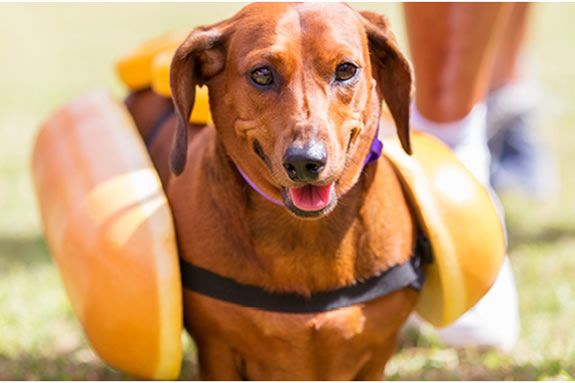 Events for families north of Boston at MarketStreet Lynnfield Events for families north of Boston at MarketStreet Lynnfield