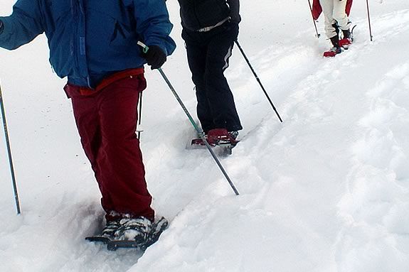 If it ever snows, this will be a great exploration of IRWS on snowshoes!