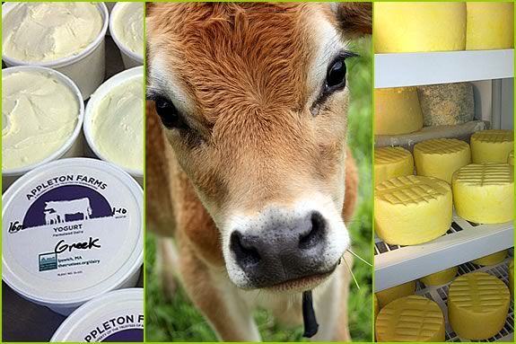 Farm Fresh Yogurt is now available at Appleton Farms in Ipswich