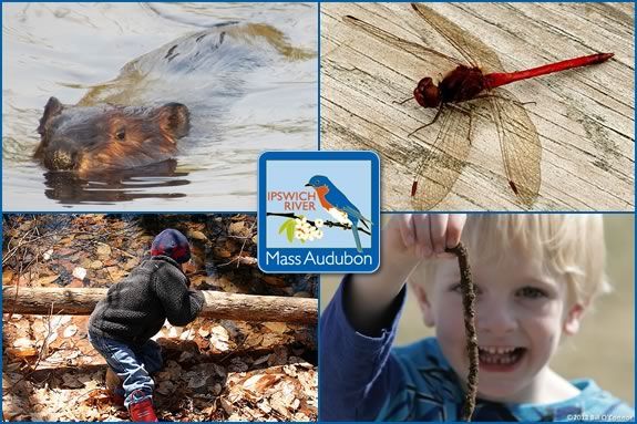 Four days of exploring and natural adventure await your child at Ipswich River Wildlife Sanctuary this April Vacation in Topsfield Massachusetts