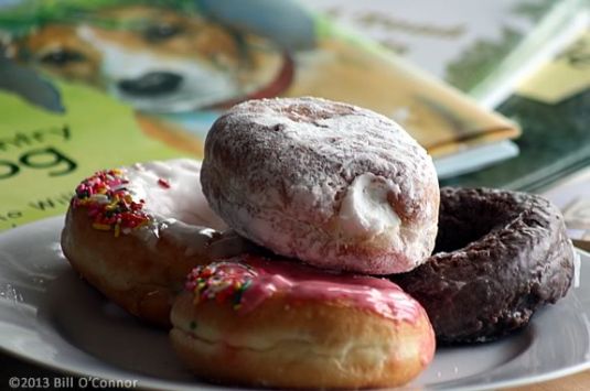 Dads & Donuts Storytime at Newbury Town Library in Massachusetts
