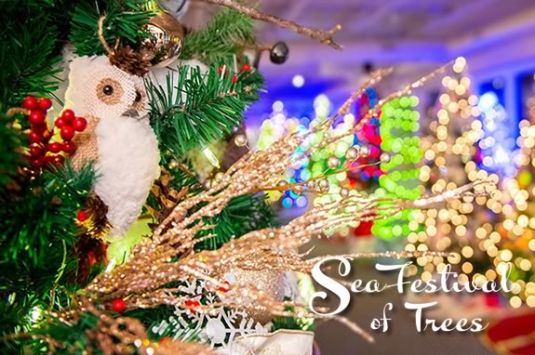 Experience the joy and excitement of Salisbury’s most popular holiday tradition with glittering trees, indoor ice skating, Santa visits and more - Massachusetts
