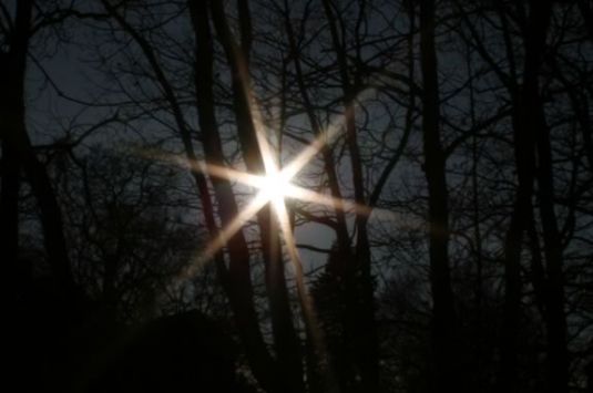 Come celebrate the longest night - Winter Solstice - at Harold Parker State Forest