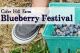 Blueberry & Flower Festival at Cider Hill farm in Amesbury Massachusetts