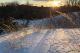 Come explore the dunes on Castle Neck and Crane Beach in Ipswich Massachusetts to learn about winter wildlife.