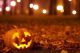 Hallween Happenings at Endicott Park in Danvers Massachusetts